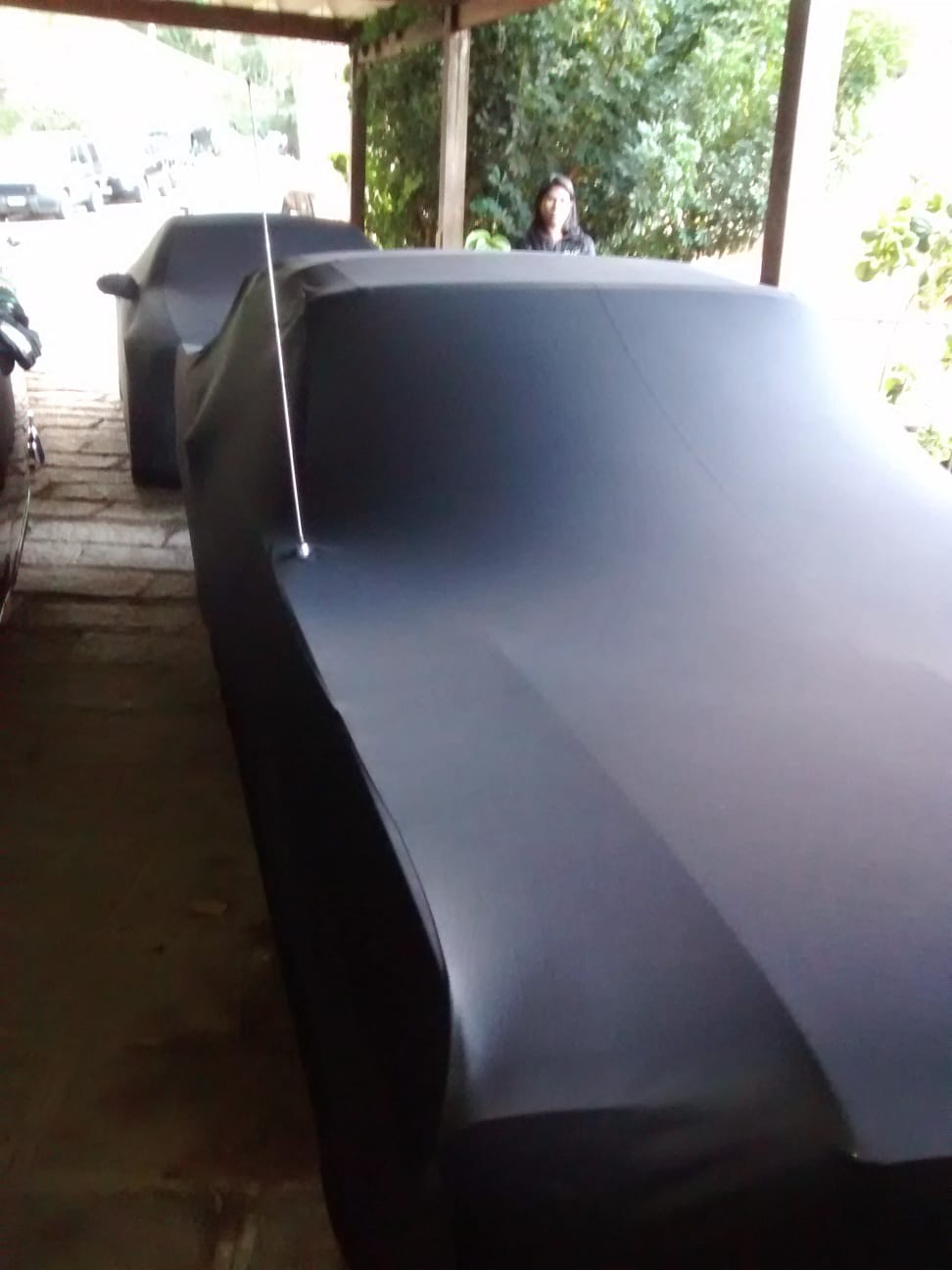 Ford Mustang with a custom cover