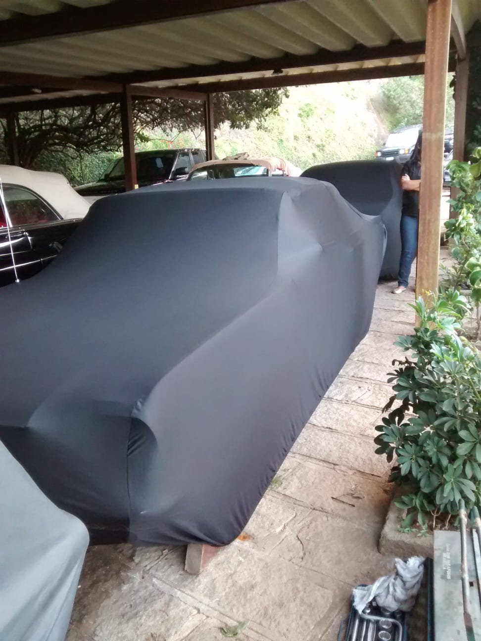 Ford Mustang with a custom cover