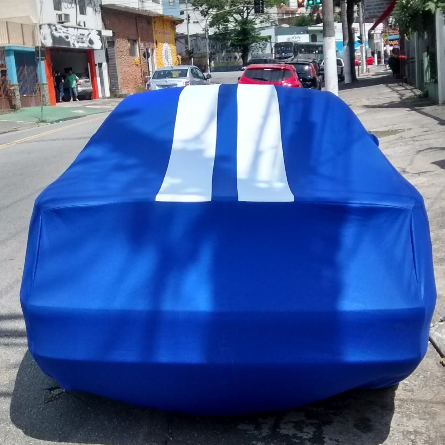 Ford Mustang with a custom cover