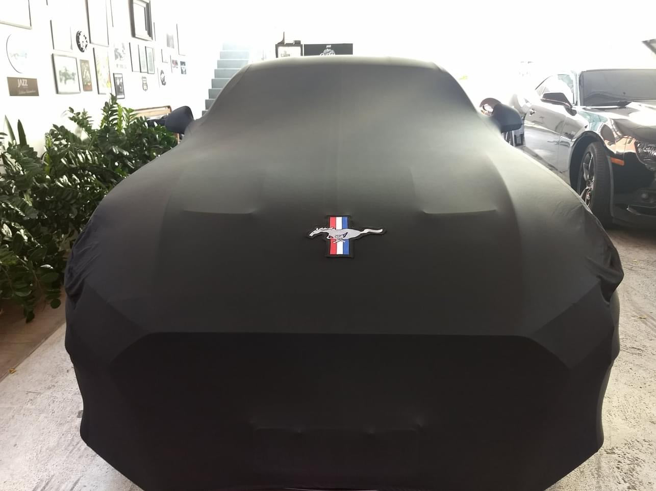 Ford Mustang with a custom cover