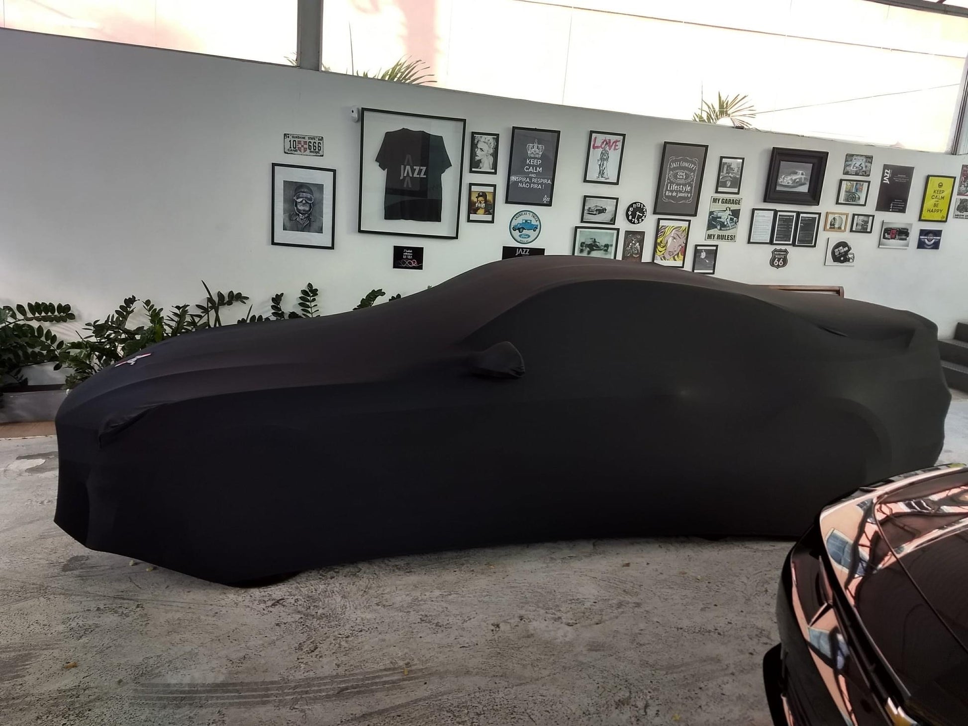 Ford Mustang with a custom cover