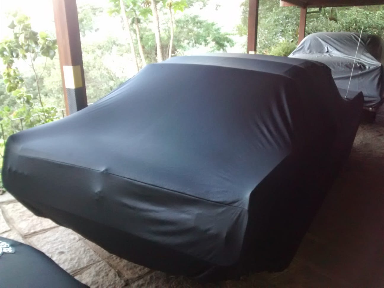 Ford Mustang with a custom cover